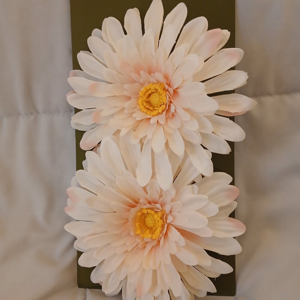 Bloom Room daisy clips